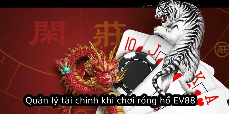 Trải Nghiệm Rồng Hổ EV88 Trực Tuyến Đầy Kịch Tính 2025 4 Quản lý tài chính khi chơi rồng hổ EV88